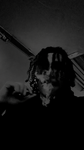 Rapper